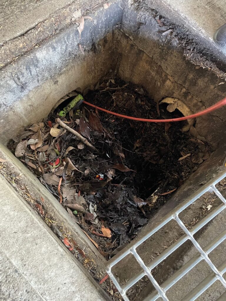 Blocked Drain - Water Warriors Plumbing Drummoyne